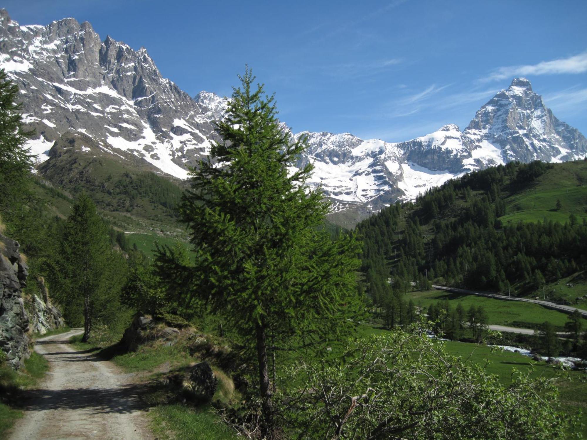 Hotel Meuble Meridiana Valtournenche Dış mekan fotoğraf